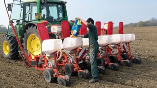 En semant tôt, on recherche la mise en place précoce d'une surface foliaire capable de valoriser le rayonnement des jours longs de fin juin et de juillet, et à bénéficier du potentiel supérieur d'une variété un peu plus tardive.© CHRISTIAN WATIER En semant tôt, on recherche la mise en place précoce d'une surface foliaire capable de valoriser le rayonnement des jours longs de fin juin et de juillet, et à bénéficier du potentiel supérieur d'une variété un peu plus tardive.© CHRISTIAN WATIER