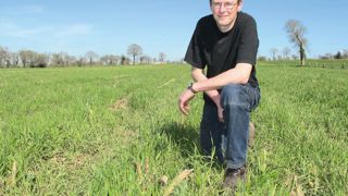 « Étouffé par le maïs, le ray-grass d'Italie était peu présent. La prairie n'était pas assez développée pour envisager un pâturage à l'automne », indique Hervé Fains. Ici, la prairie en avril, cinq jours après le premier pâturage. Le nouveau maïs a été semé le 15 mai.© C.H. « Étouffé par le maïs, le ray-grass d'Italie était peu présent. La prairie n'était pas assez développée pour envisager un pâturage à l'automne », indique Hervé Fains. Ici, la prairie en avril, cinq jours après le premier pâturage. Le nouveau maïs a été semé le 15 mai.© C.H.