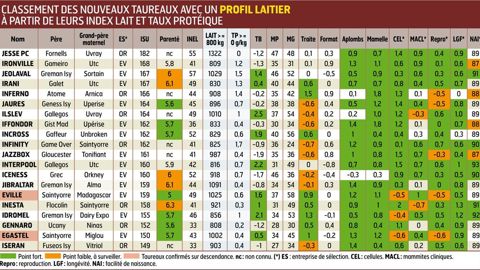 Eville, le moins apparenté. Indemne de sang Diamètre, il profite pleinement des qualités laitières de Saintyorre.