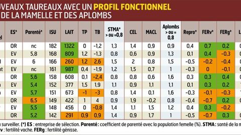 ULOZON. Désormais grand-père paternel ou maternel, il continue de transmettre ses qualités fonctionnelles. Ses petits-fils Ibernatus, Isotop, Ipaslom et Ibague sont là pour en témoigner.