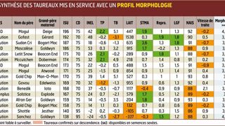 IMOLA En tête de notre classement, Imola est un fils de Mogul proposé par Gènes Diffusion. Il atteint des records sur les notes de morphologie, tout en améliorant la santé de la mamelle et le TP. IMOLA En tête de notre classement, Imola est un fils de Mogul proposé par Gènes Diffusion. Il atteint des records sur les notes de morphologie, tout en améliorant la santé de la mamelle et le TP.