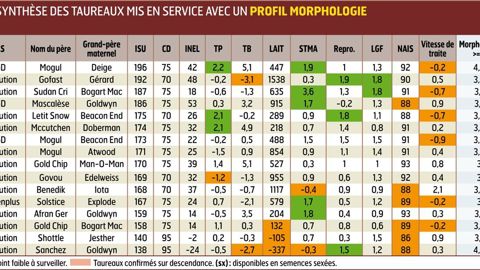 IMOLA En tête de notre classement, Imola est un fils de Mogul proposé par Gènes Diffusion. Il atteint des records sur les notes de morphologie, tout en améliorant la santé de la mamelle et le TP. 