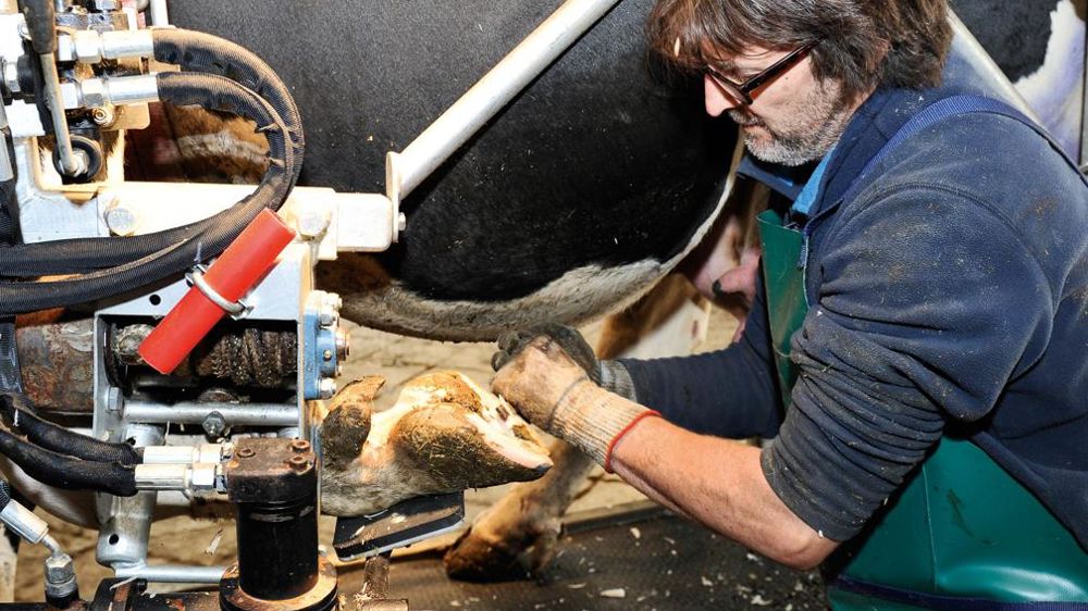 © CÉDRIC FAIMALI/GFA