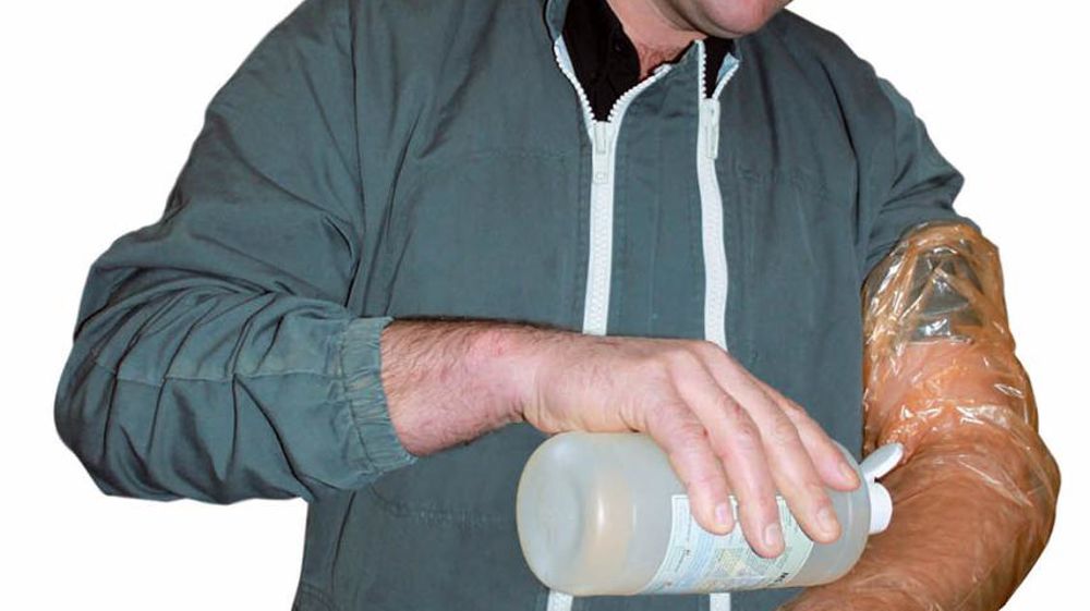 1-Préparation. La méthode de l'insémination artificielle bovine consiste à passer une main dans le rectum de la vache afin de localiser le col de l'utérus. Pour cela, l'éleveur, bras nu, s'équipe d'un gant qu'il enduit d'un gel lubrifiant. La fouille se fera avec la main qui a la meilleure sensibilité tactile.