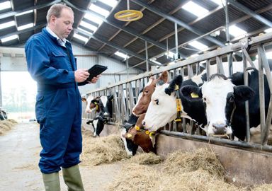 Avec le système Smarttag-Cou, l'animal peut être tracé avec une précision de un mètre. 