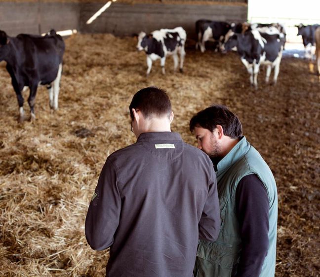 La firme-services interprète les résultats et propose à l'éleveur de l'accompagner pour parfaire sa ration.© SEBASTIEN CHAMPION
