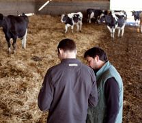 La firme-services interprète les résultats et propose à l'éleveur de l'accompagner pour parfaire sa ration.© SEBASTIEN CHAMPION La firme-services interprète les résultats et propose à l'éleveur de l'accompagner pour parfaire sa ration.© SEBASTIEN CHAMPION