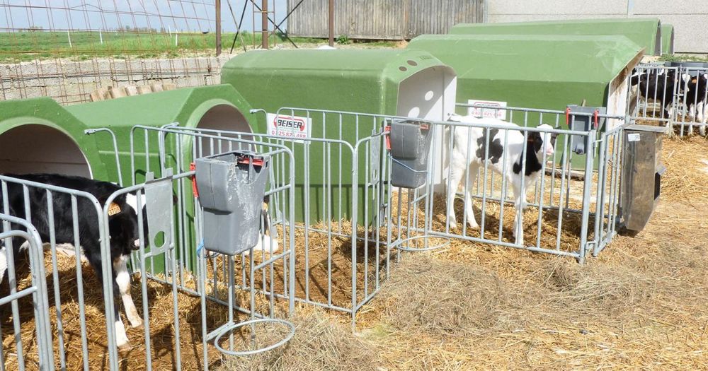 Le concept de toit isolant (20 mm de mousse polyuréthane fixée entre deux couches de résine polyester) de la niche individuelle pourrait être déployé sur les niches collectives de la gamme (3, 5, 8, 10 ou 16 veaux).