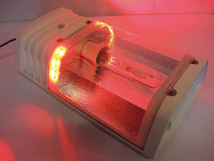 La lumière rouge est perçue comme l'obscurité par la vache. L'éleveur peut intervenir dans le bâtiment sans perturber le biorythme du troupeau.