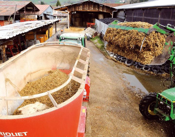 Le produit est incorporé lors de la préparation de la ration.© JEAN-FRANÇOIS MARIN/FEDÉPHOTO.COM