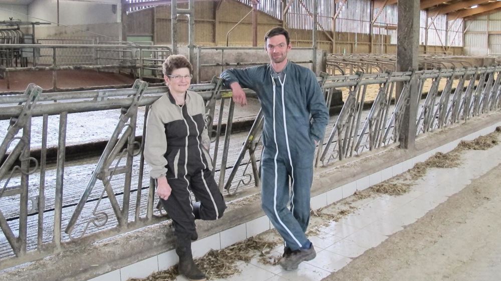 Afin d'accéder aux pâtures sans traverser la route, le Gaec a construit, en 2009, ce bâtiment de 115 logettes et 105 places de cornadis. La ration est distribuée le soir pour que les vaches valorisent bien l'herbe en journée.©C.H. Afin d'accéder aux pâtures sans traverser la route, le Gaec a construit, en 2009, ce bâtiment de 115 logettes et 105 places de cornadis. La ration est distribuée le soir pour que les vaches valorisent bien l'herbe en journée.©C.H.