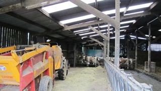Les investissements sont raisonnés pour ne pas dépasser les 15 000 € d'annuités. La stabulation paillée est amortie depuis longtemps. Le remboursement de la mise aux normes sera fini en 2020. Le matériel est entretenu pour vieillir.© CLAIRE HUE Les investissements sont raisonnés pour ne pas dépasser les 15 000 € d'annuités. La stabulation paillée est amortie depuis longtemps. Le remboursement de la mise aux normes sera fini en 2020. Le matériel est entretenu pour vieillir.© CLAIRE HUE