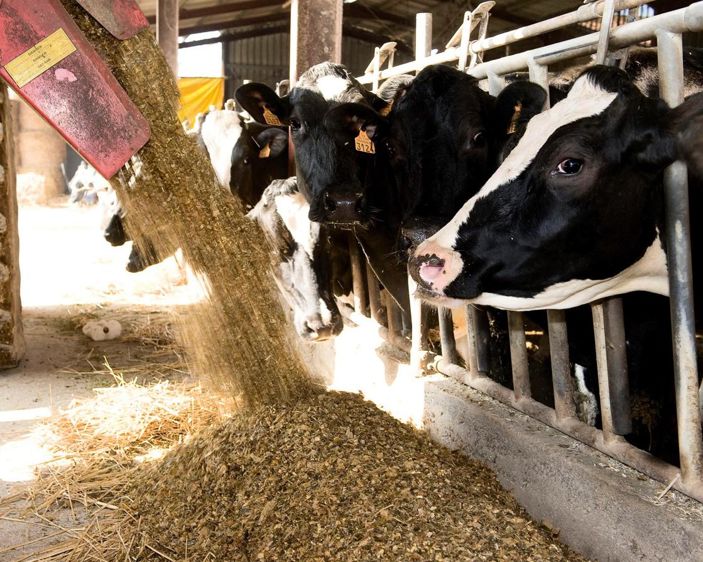 © JEAN-MICHEL NOSSANT