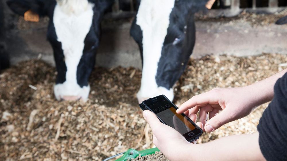 © SÉBASTIEN CHAMPION