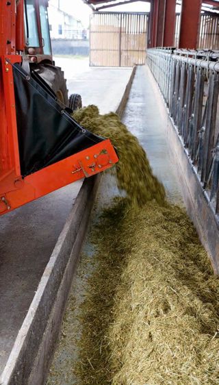 Afin de répondre à la problématique environnementale et d'améliorer la teneur en acides gras du lait, la firme commercialise un nouveau supplément nutritionnel.© CLAUDIUS THIRIET
