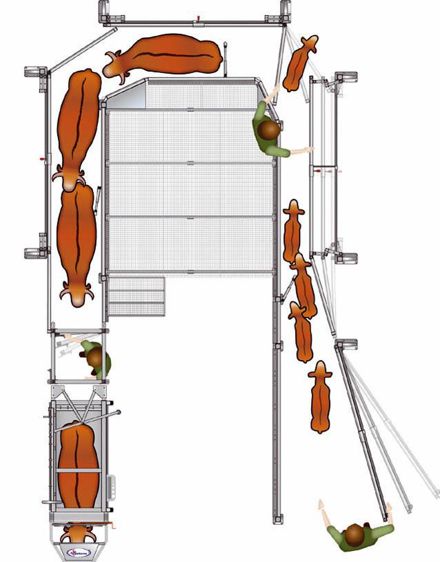 Les panneaux tôlés qui forment le couloir sont réglables pour s'adapter à tous les bovins.