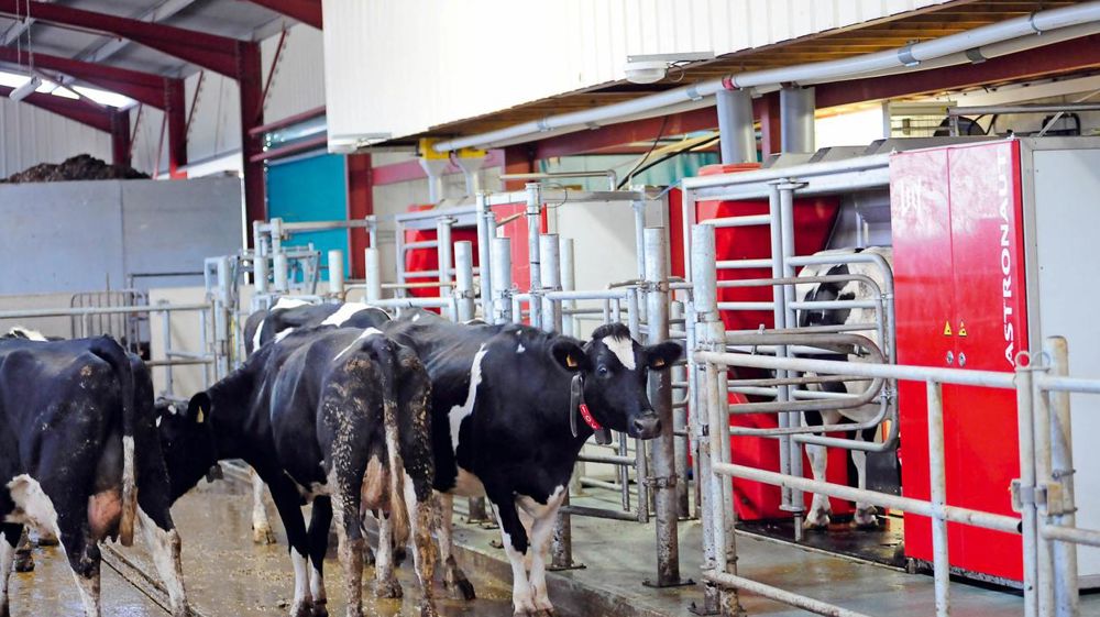 © JEAN-MICHEL NOSSANT