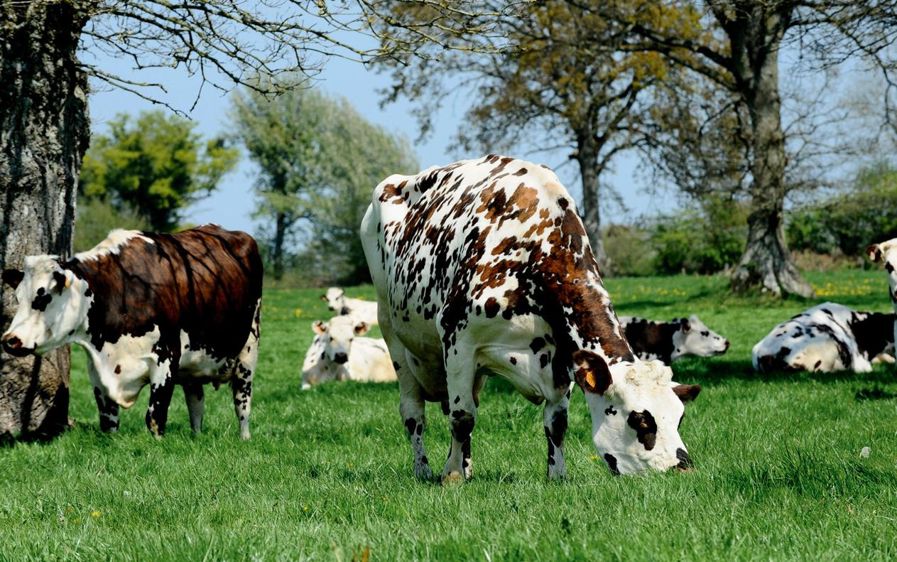 © PHILIPPE MONTIGNY/FILIMAGES