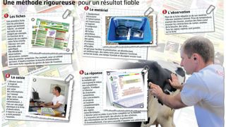 Bertrand De forge est satisfait d'avoir appris à mieux observer ses animaux. Il peut ainsi donner des informations plus précises quand il appelle son vétérinaire Bertrand De forge est satisfait d'avoir appris à mieux observer ses animaux. Il peut ainsi donner des informations plus précises quand il appelle son vétérinaire