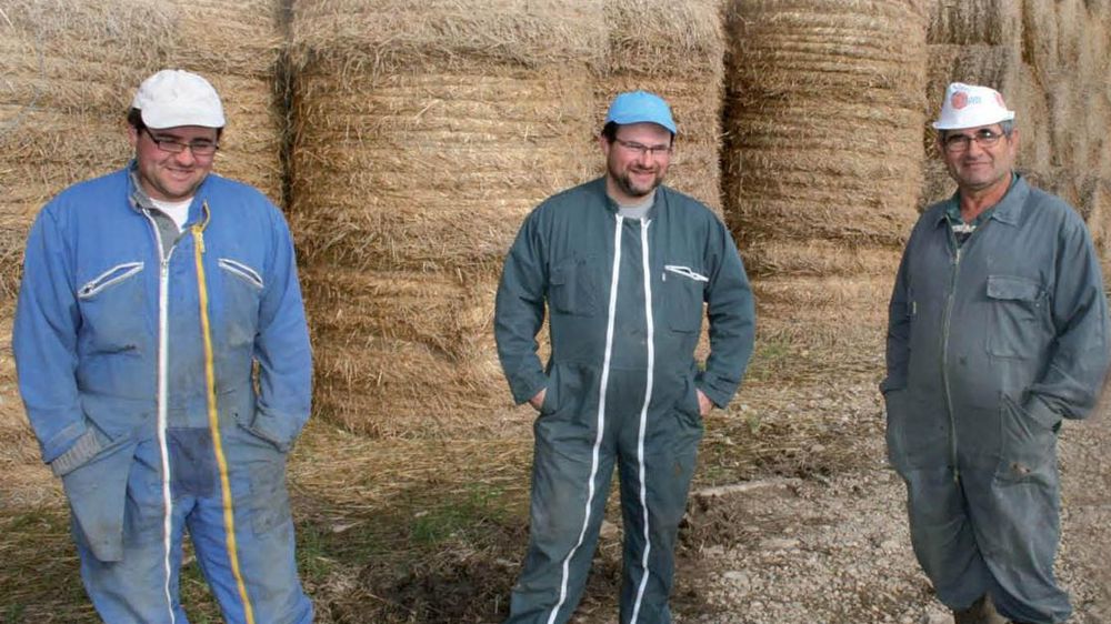« Le partenariat noué avec Jean-Baptiste nous procure une sécurité dans notre approvisionnement en paille, alors que la tendance chez les céréaliers est à l'enfouissement », apprécient Alain, Laurent et Cyrille Melin.© A.B. « Le partenariat noué avec Jean-Baptiste nous procure une sécurité dans notre approvisionnement en paille, alors que la tendance chez les céréaliers est à l'enfouissement », apprécient Alain, Laurent et Cyrille Melin.© A.B.