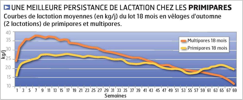 Benoît Portier : « L'objectif d'un veau par vache et par an est battu en brèche. L'allongement des lactations permet d'améliorer la longévité des vaches et concerne donc tous les éleveurs. » Benoît Portier : « L'objectif d'un veau par vache et par an est battu en brèche. L'allongement des lactations permet d'améliorer la longévité des vaches et concerne donc tous les éleveurs. »