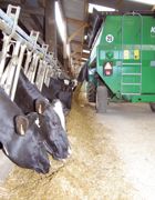Le chargement et le mélange de la ration sont optimisés pour chaque catégorie d'aliments via une base de données internet. Le chargement et le mélange de la ration sont optimisés pour chaque catégorie d'aliments via une base de données internet.