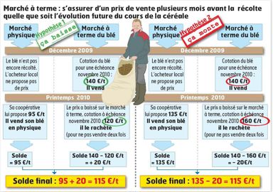 Le cours sur le marché à terme ne correspond pas à celui au départ de la ferme. Pour connaître le prix auquel l'agriculteur sera réellement payé, il doit déduire sa « base ». Ce terme désigne la différence entre le cours du marché à terme et celui du marché local. En moyenne, cette base s'élève à 25 €/t.© CHRISTIAN WATIER