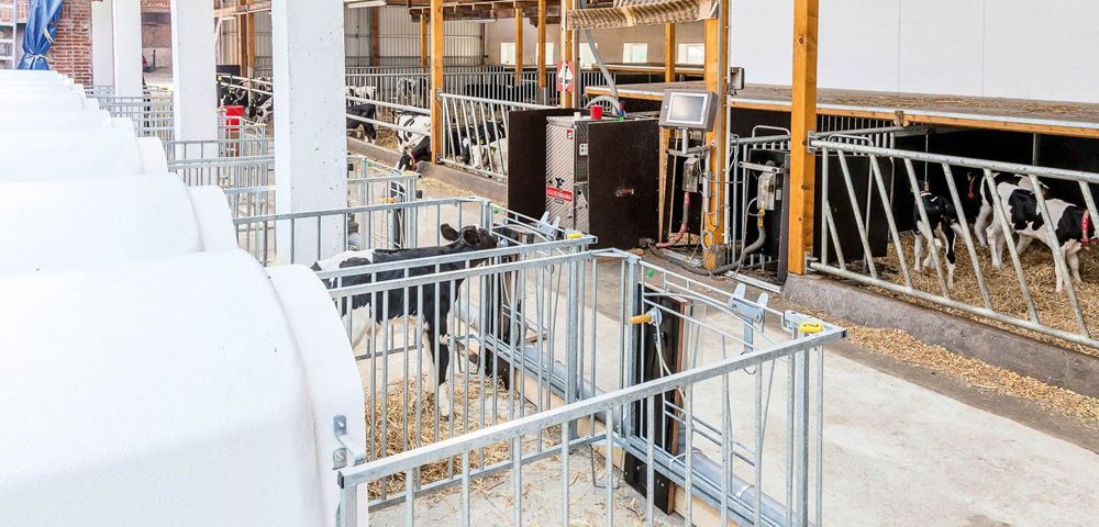 Les défauts de consommation du veau sont signalés par une lampe clignotante à côté de la tétine.