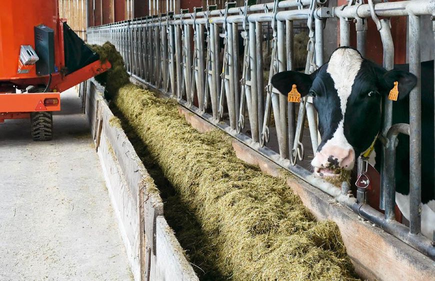 L'indice de diversité Dival, calculé pour chaque aliment et pour la ration dans sa globalité, permet une analyse de la couverture des besoins nutritionnels des animaux au-delà des simples notions d'apports énergétiques et protéiques.© CLAUDIUS THIRIET