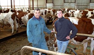 Vincent et Guy près des logettes dans la stabulation. La construction de la stabulation à logettes raclée modulable avait été soigneusement préparée. Salarié du groupement d'employeurs local après son BTS, Vincent travaillait sur l'exploitation à quart de temps depuis fin 2003. Il était aussi présent les week-ends. Vincent et Guy près des logettes dans la stabulation. La construction de la stabulation à logettes raclée modulable avait été soigneusement préparée. Salarié du groupement d'employeurs local après son BTS, Vincent travaillait sur l'exploitation à quart de temps depuis fin 2003. Il était aussi présent les week-ends.