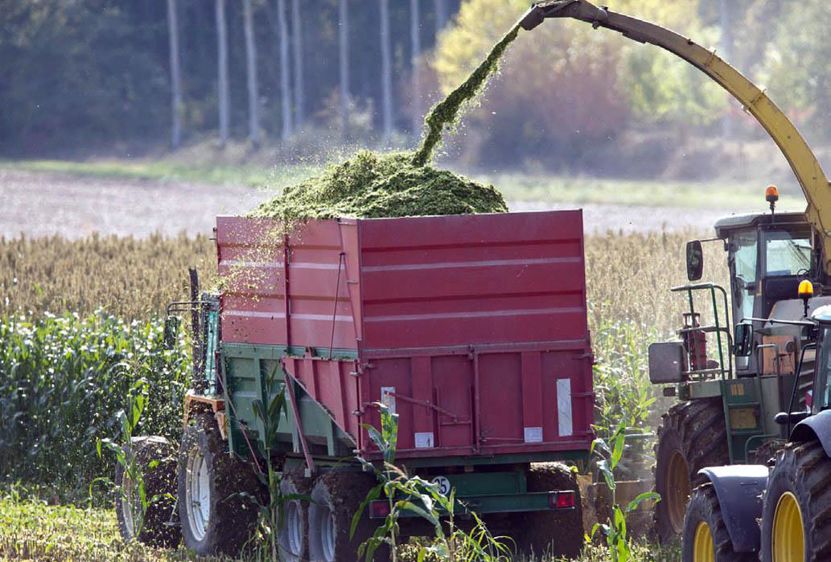 L'utilisation de la pompe à bas volume et du conservateur issu de la technologie HC permet d'optimiser le temps de travail lors du chantier d'ensilage et de réduire la consommation d'eau.© CHRISTIAN WATIER