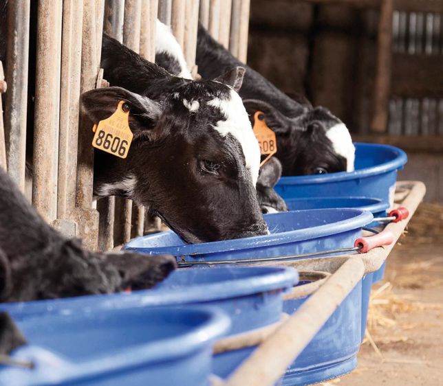 © SEBASTIEN CHAMPION