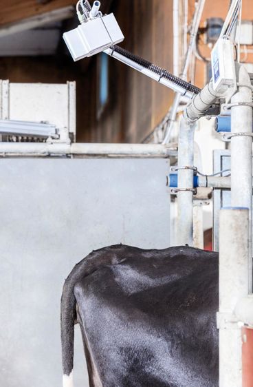 La topographie du dos de l'animal est mesurée et analysée pour restituer une note d'état corporel. 