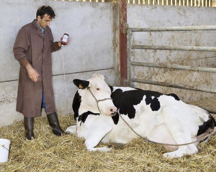 Issu d'un brevet danois, X-Zelit Complet est un aliment minéral complémentaire qui a la propriété de fixer le calcium contenu dans la ration. © CLAUDIUS THIRIET