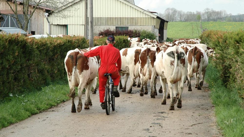 © JEAN-MICHEL VOCORET