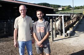 Le petit télescopique utilisé par Charles et Benoît Belicard, un JCB de 50 ch d'un poids de 1,5 t, est dédié à l'un des deux sites de l'exploitation. © A.B. Le petit télescopique utilisé par Charles et Benoît Belicard, un JCB de 50 ch d'un poids de 1,5 t, est dédié à l'un des deux sites de l'exploitation. © A.B.