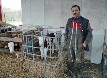 Patrick Wiser a trouvé une solution très économique pour loger les tout jeunes veaux avant qu'ils rejoignent le bâtiment qui leur est dédié. Il a reconverti plusieurs cuves en plastique de 1 000 litres utilisées pour le transport de liquides, en autant de niches à veaux individuelles.© J.-M.V.