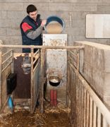 Matin et soir, le niveau de concentré est vérifié et une brouette, disposée à proximité des cases, permet une recharge simple et rapide du Dac.© E.A. Matin et soir, le niveau de concentré est vérifié et une brouette, disposée à proximité des cases, permet une recharge simple et rapide du Dac.© E.A.