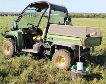 Quad et SSV offrent un large panel d'applications pour le soin aux animaux comme dans les prairies et les champs.© D.L. 