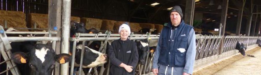 Observation. Nadine et Philippe Levillain connaissent bien le caractère de leurs vaches. Ils tiennent compte des rythmes individuels pour organiser la stabulation laitière.C. Hue