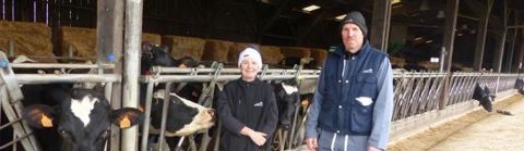 Observation. Nadine et Philippe Levillain connaissent bien le caractère de leurs vaches. Ils tiennent compte des rythmes individuels pour organiser la stabulation laitière.C. Hue