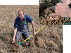 Philippe Pastoureau, début mai, dans une parcelle semée mi-avril sur un seigle après un passage de Strip Till. Le seigle a été roulé, puis détruit au glyphosate (1 l/ha). Cette technique sert à doper la population de lombrics (jusqu'à 3 t/ha). Leurs milliers de galeries au mètre cube sont essentielles à la fertilité du sol. « Il faut trois ans pour remettre un sol en état. » Philippe Pastoureau, début mai, dans une parcelle semée mi-avril sur un seigle après un passage de Strip Till. Le seigle a été roulé, puis détruit au glyphosate (1 l/ha). Cette technique sert à doper la population de lombrics (jusqu'à 3 t/ha). Leurs milliers de galeries au mètre cube sont essentielles à la fertilité du sol. « Il faut trois ans pour remettre un sol en état. »