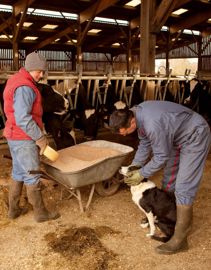 PHOTOS : © GAËL ARNAUD