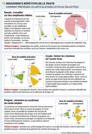 Un quai à sa taille et sans torsion lombaire 1. Une amplitude élevée de l'épaule sollicite trop les muscles et ligaments. C'est le cas avec un quai haut qui oblige à lever le bras, avec un risque de tendinites. Un quai bas oblige à se baisser et engendre des lombalgies. Il faut adapter la hauteur du quai pour que les trayons se situent juste au-dessus du niveau du coeur, sans contrainte visuelle (barre de fesse, éclairage). On peut rehausser la fosse d'une couche de 2 à 3 cm de béton ou avec des Un quai à sa taille et sans torsion lombaire 1. Une amplitude élevée de l'épaule sollicite trop les muscles et ligaments. C'est le cas avec un quai haut qui oblige à lever le bras, avec un risque de tendinites. Un quai bas oblige à se baisser et engendre des lombalgies. Il faut adapter la hauteur du quai pour que les trayons se situent juste au-dessus du niveau du coeur, sans contrainte visuelle (barre de fesse, éclairage). On peut rehausser la fosse d'une couche de 2 à 3 cm de béton ou avec des