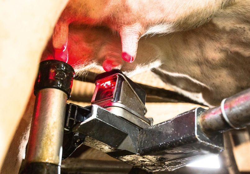 Depuis le milieu des années 2000, la recherche suisse s'intéresse de près à la question de la qualité sanitaire, mais aussi fromagère, du lait cru trait par des robots.© CLAUDIUS THIRIET