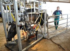 Une cage polyvalente La cage 650-SP2 de CowCare est galvanisée et équipée des fonctions hydrauliques suivantes : sangles ventrales, treuil pour les pattes et ascenseur. Bien que l'accent soit mis sur sa polyvalence, elle n'est utilisée ici que pour les opérations de parage et installée en poste fixe sur une aire bétonnée en bout de stabulation.REPORTAGE PHOTOS : © CÉDRIC FAIMALI/GFA Une cage polyvalente La cage 650-SP2 de CowCare est galvanisée et équipée des fonctions hydrauliques suivantes : sangles ventrales, treuil pour les pattes et ascenseur. Bien que l'accent soit mis sur sa polyvalence, elle n'est utilisée ici que pour les opérations de parage et installée en poste fixe sur une aire bétonnée en bout de stabulation.REPORTAGE PHOTOS : © CÉDRIC FAIMALI/GFA