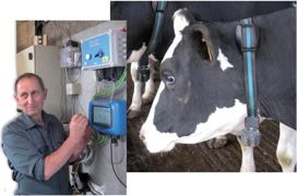 Les vaches portent un collier sur lequel est positionné un capteur. Les informations sont transmises lors de leur passage à proximité d'une antenne. L'éleveur consulte son écran pour connaître les éventuelles alertes.© P.L.C. Les vaches portent un collier sur lequel est positionné un capteur. Les informations sont transmises lors de leur passage à proximité d'une antenne. L'éleveur consulte son écran pour connaître les éventuelles alertes.© P.L.C.