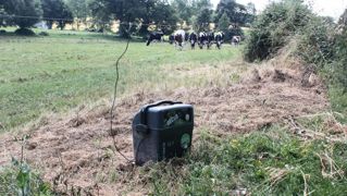 0,8 à 1 joule par km La puissance des électrificateurs proposés dans le commerce peut varier de 1 à 15 joules. Pour des vaches laitières, la puissance recommandée est de 0,8 à 1 joule par kilomètre de clôture. PHOTOS © D.L. 0,8 à 1 joule par km La puissance des électrificateurs proposés dans le commerce peut varier de 1 à 15 joules. Pour des vaches laitières, la puissance recommandée est de 0,8 à 1 joule par kilomètre de clôture. PHOTOS © D.L.