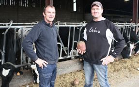Franck et Stéphane Poignant ont introduit 5 hectares de betteraves fourragères dans leur assolement.© D.L. Franck et Stéphane Poignant ont introduit 5 hectares de betteraves fourragères dans leur assolement.© D.L.