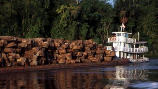 Une superficie plus grande que l'UE a été perdue à cause de la déforestation entre 1990 et 2020. Une superficie plus grande que l'UE a été perdue à cause de la déforestation entre 1990 et 2020.